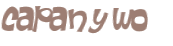 CAPTCHA 挑戰