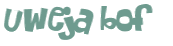 CAPTCHA 挑戰
