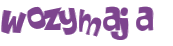 Wyzwanie captcha