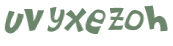 CAPTCHA 挑戰
