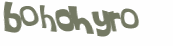 CAPTCHA 挑戰