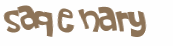 Desafio captcha