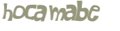 Desafio captcha