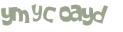 CAPTCHA 挑戰