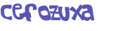 CAPTCHA 挑戰