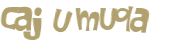 Prueba Captcha