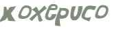 CAPTCHA 挑戰