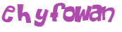 CAPTCHA 挑戰