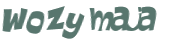 Captcha 챌린지
