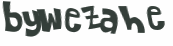 Captcha 챌린지