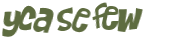 Captchafråga