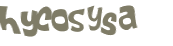 CAPTCHA 挑戰