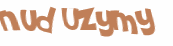 Wyzwanie captcha