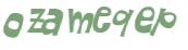 Captcha 챌린지