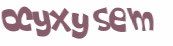Desafio Captcha