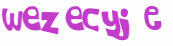CAPTCHA 挑戰