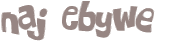 Wyzwanie captcha