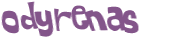 CAPTCHA 挑戰