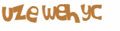 Wyzwanie captcha