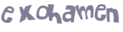 CAPTCHA 挑戰