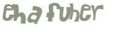Desafio Captcha