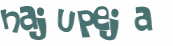CAPTCHA 挑戰