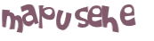 Desafio captcha