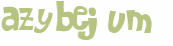 Captcha 챌린지