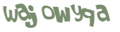 Wyzwanie captcha