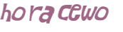Captcha 챌린지