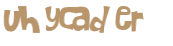 Desafio captcha