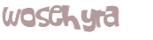 CAPTCHA 挑戰