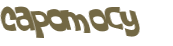 CAPTCHA 挑戰