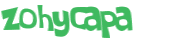 Captcha挑战