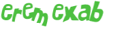Captcha 챌린지
