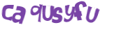 Wyzwanie captcha