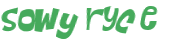Captcha 챌린지