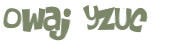 Wyzwanie captcha