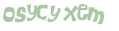 CAPTCHA 挑戰
