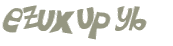 Wyzwanie captcha