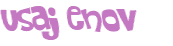 CAPTCHA 挑戰