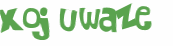 CAPTCHA 挑戰