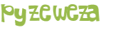 Wyzwanie captcha