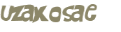 Wyzwanie captcha