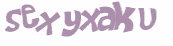 Captcha 챌린지