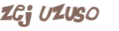 Wyzwanie captcha