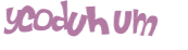 Captcha 챌린지