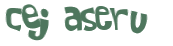 Desafio Captcha