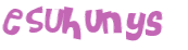 Captcha 챌린지