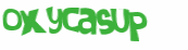 CAPTCHA 挑戰